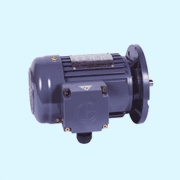 立式三相電機(剎車電機)